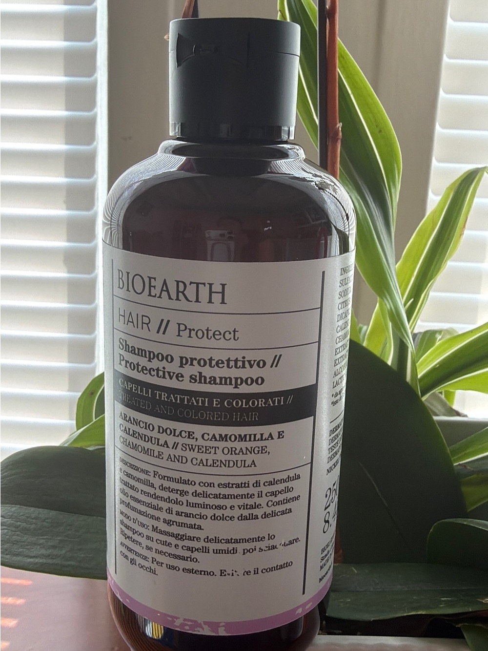 Earth Body Wash Bottle with Black Cap and Purple Accent